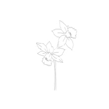 Load image into Gallery viewer, Floral | Botanical Illustration